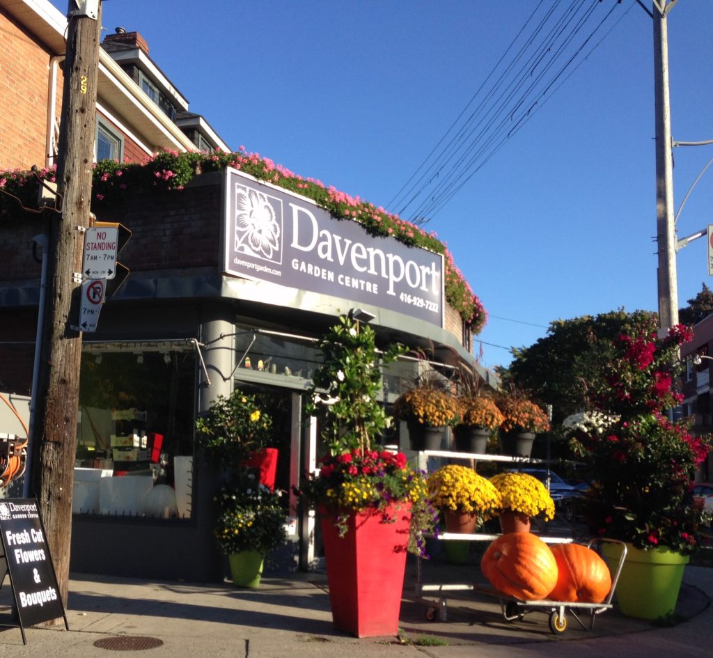 Davenport Remax Urban Toronto